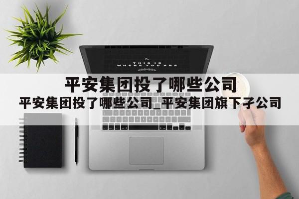 平安集团投了哪些公司_平安集团旗下孑公司
