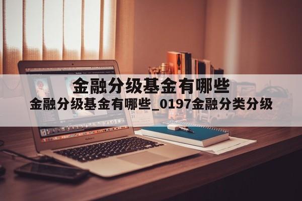 金融分级基金有哪些_0197金融分类分级