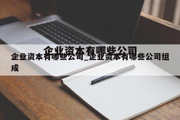 企业资本有哪些公司_企业资本有哪些公司组成