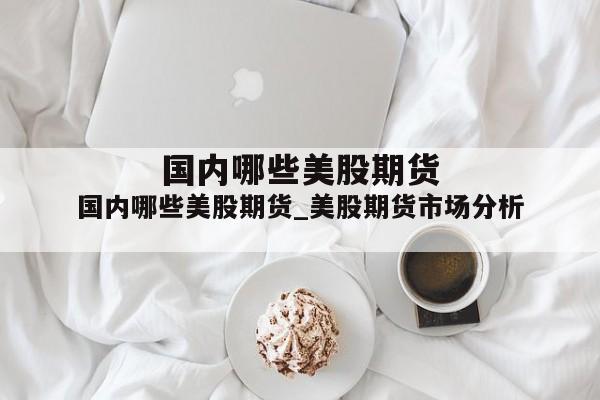 国内哪些美股期货_美股期货市场分析