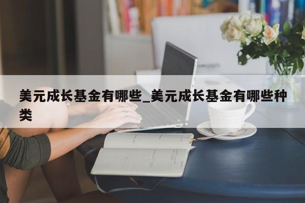 美元成长基金有哪些_美元成长基金有哪些种类