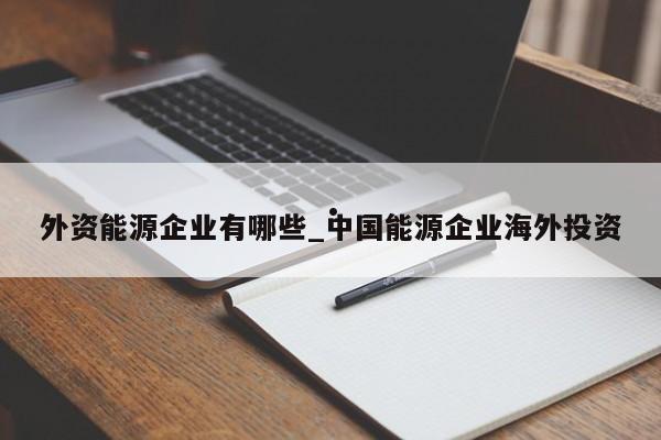 外资能源企业有哪些_中国能源企业海外投资
