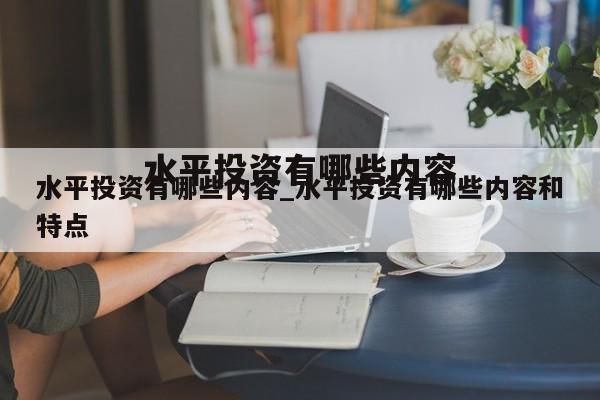 水平投资有哪些内容_水平投资有哪些内容和特点