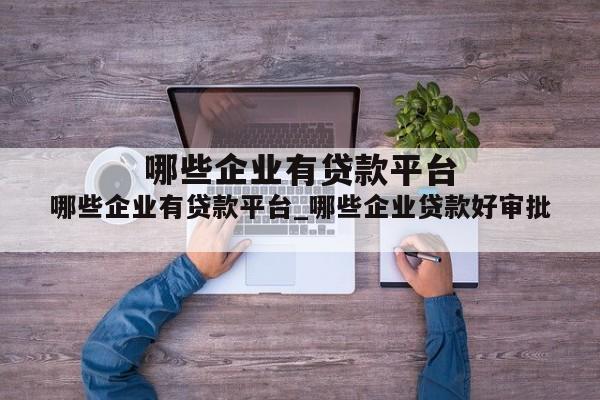 哪些企业有贷款平台_哪些企业贷款好审批