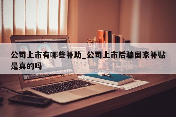 公司上市有哪些补助_公司上市后骗国家补贴是真的吗