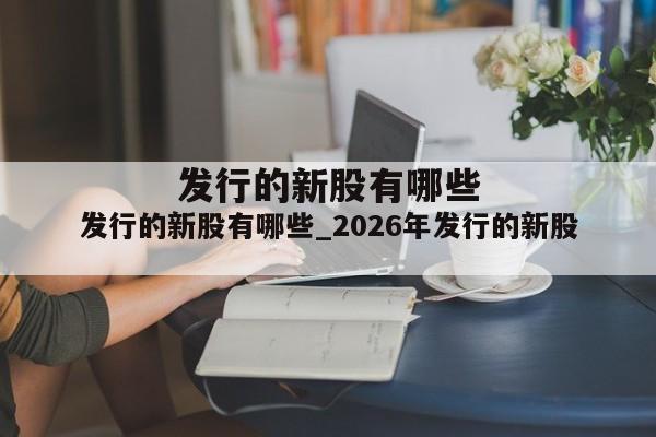 发行的新股有哪些_2026年发行的新股