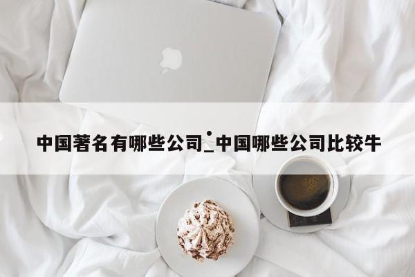 中国著名有哪些公司_中国哪些公司比较牛