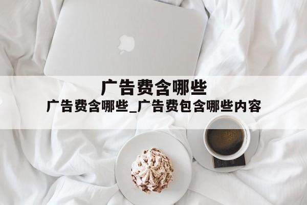广告费含哪些_广告费包含哪些内容